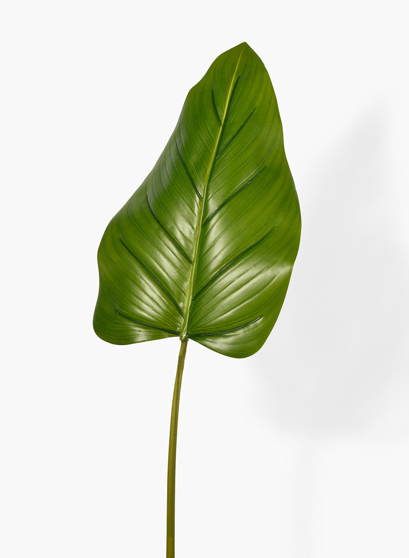 37in Beryl Leaf