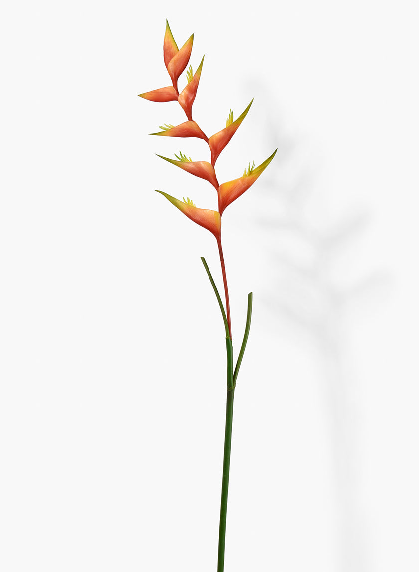 53in Orange Heliconia Stem