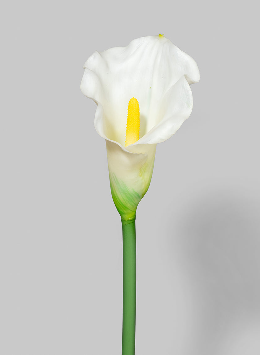 29in White Calla Lily