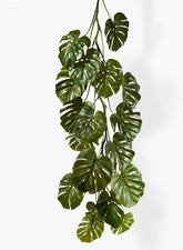 71in Monstera Leaf Vine