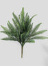 Dark Green Fern Bush