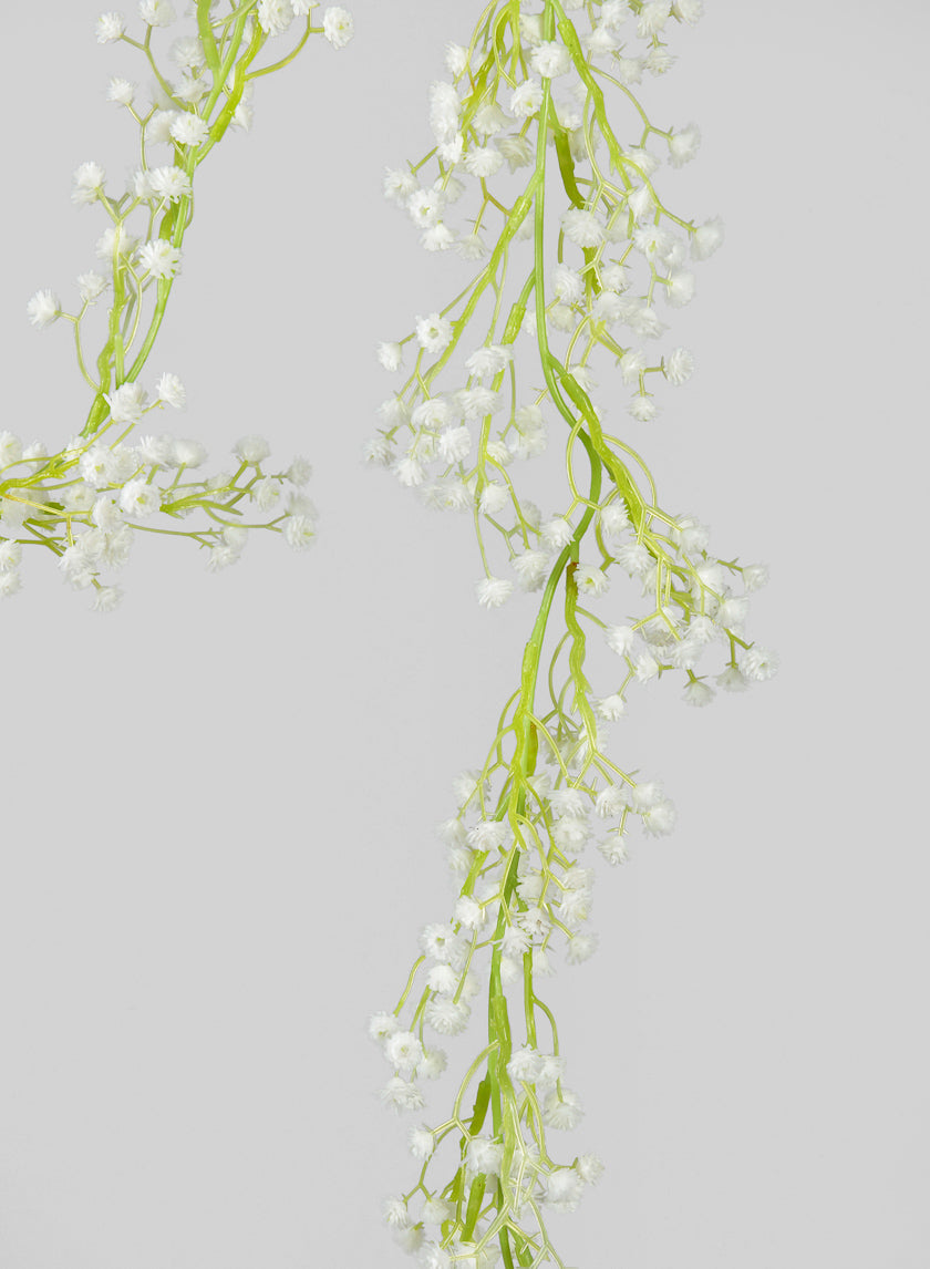 6ft Long Gypsophilia Baby&