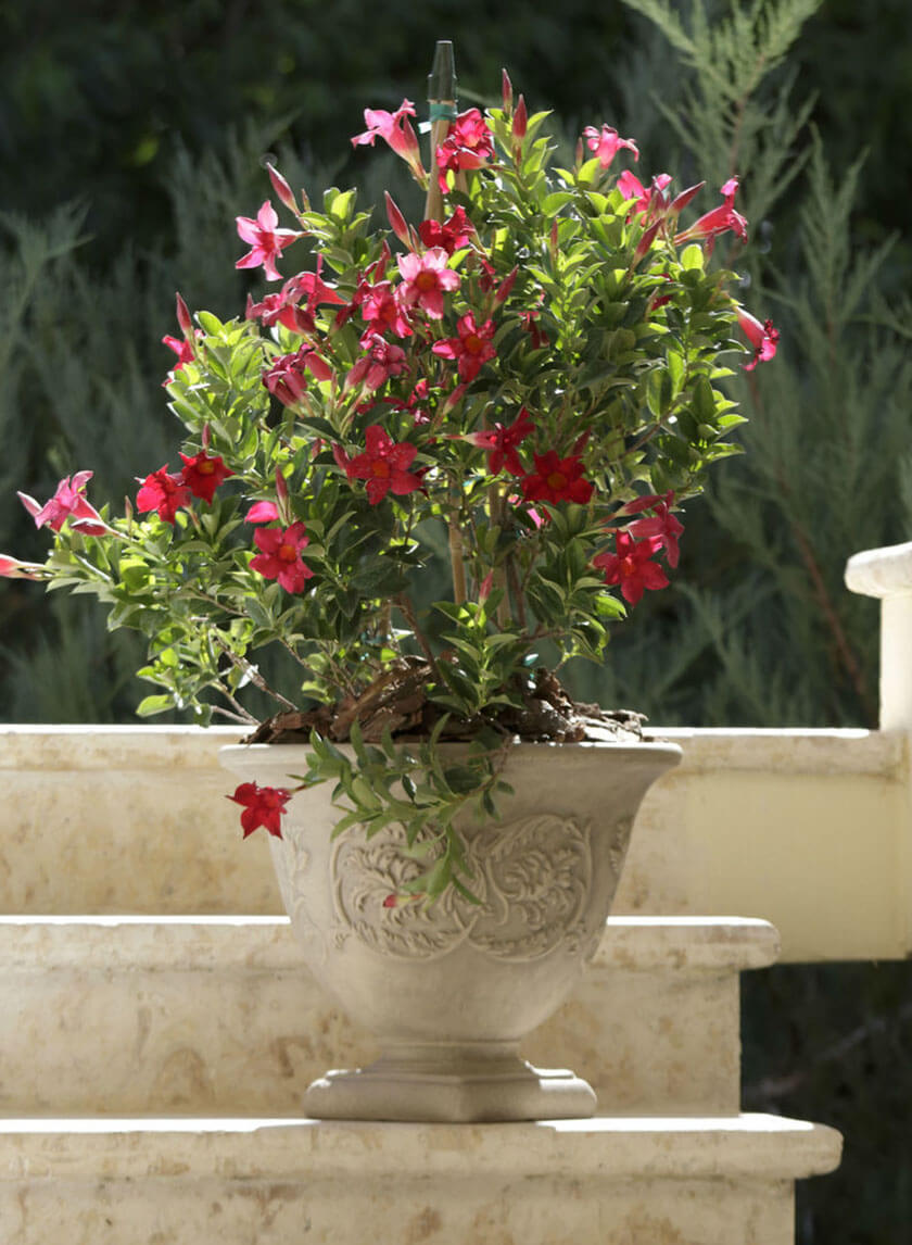 15  3/4in Antique White Stone Capri Urn