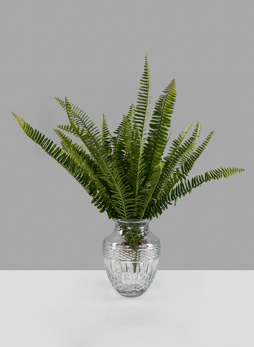 25in Leather Fern Bush