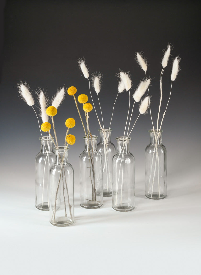 Clear Glass Bottle Bud Vase