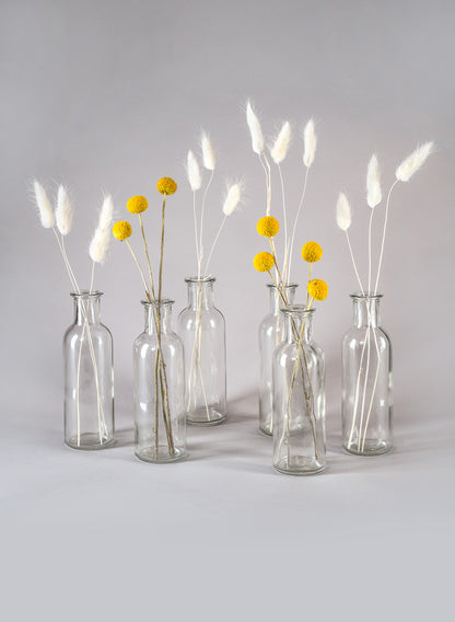 Clear Glass Bottle Bud Vase