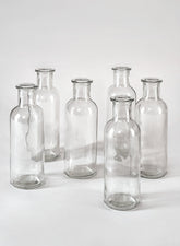 Clear Glass Bottle Bud Vase