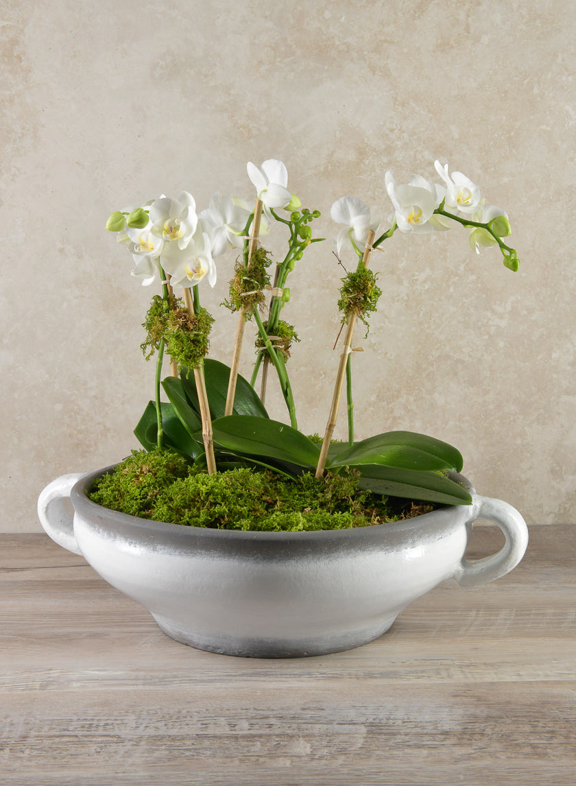 Andra Ceramic White Glazed Bowl