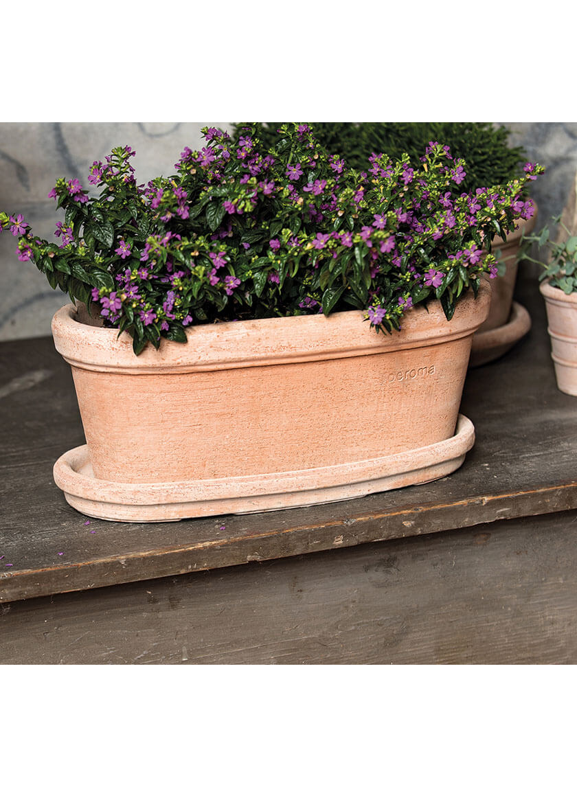 13  1/2in Etrusco Terracotta Oval Window Box