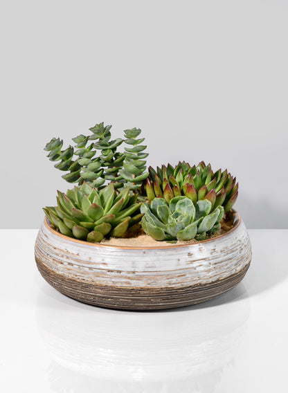 10in Breve Ceramic Bowl