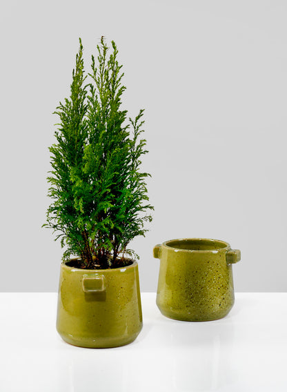 3in Matcha Green Vase