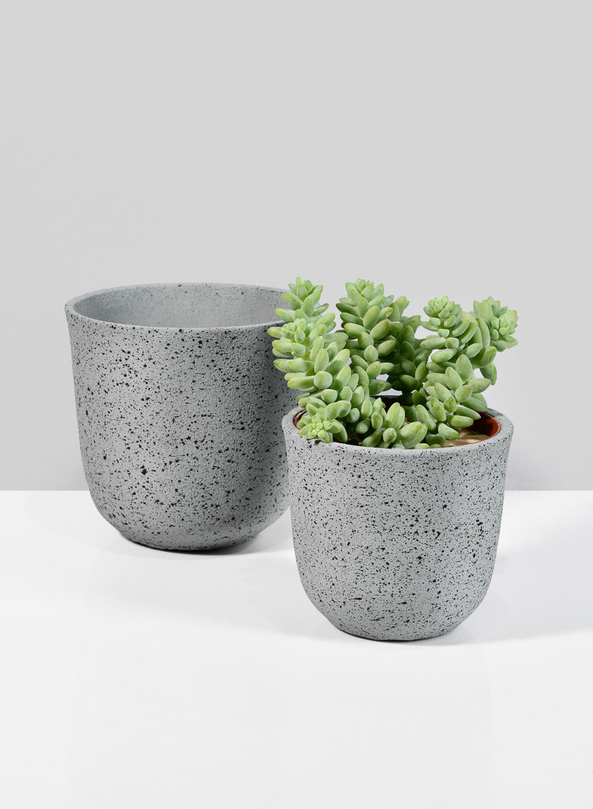 5in Gojimara Cement Planter