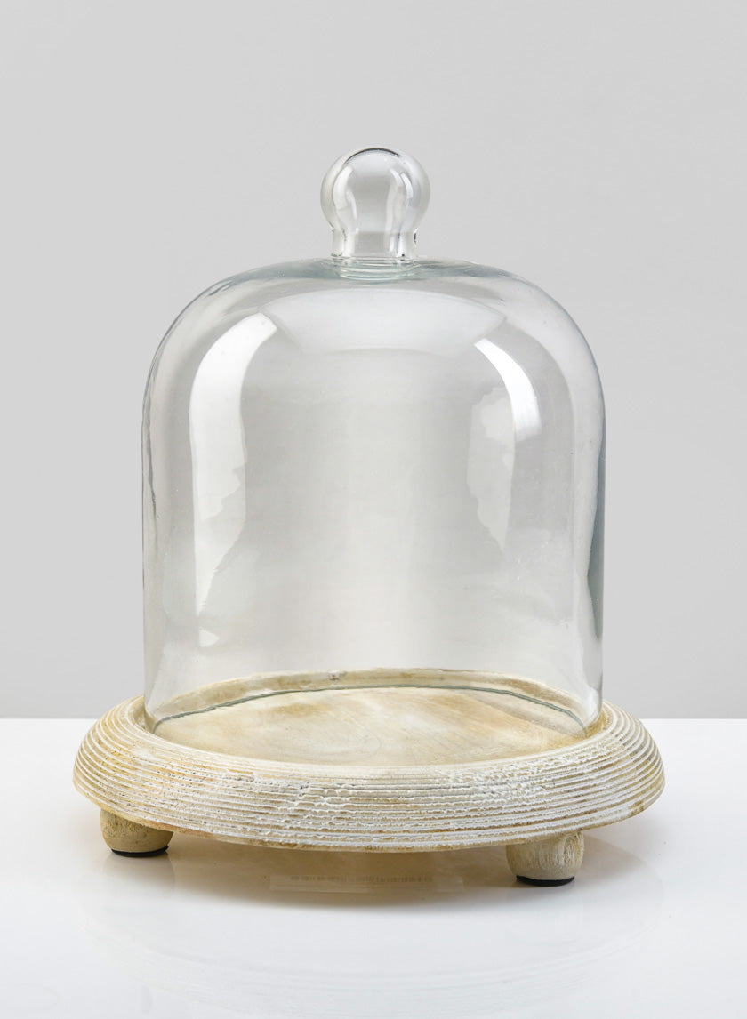 8 x 8in La Boheme Glass Cloche with Wood Base