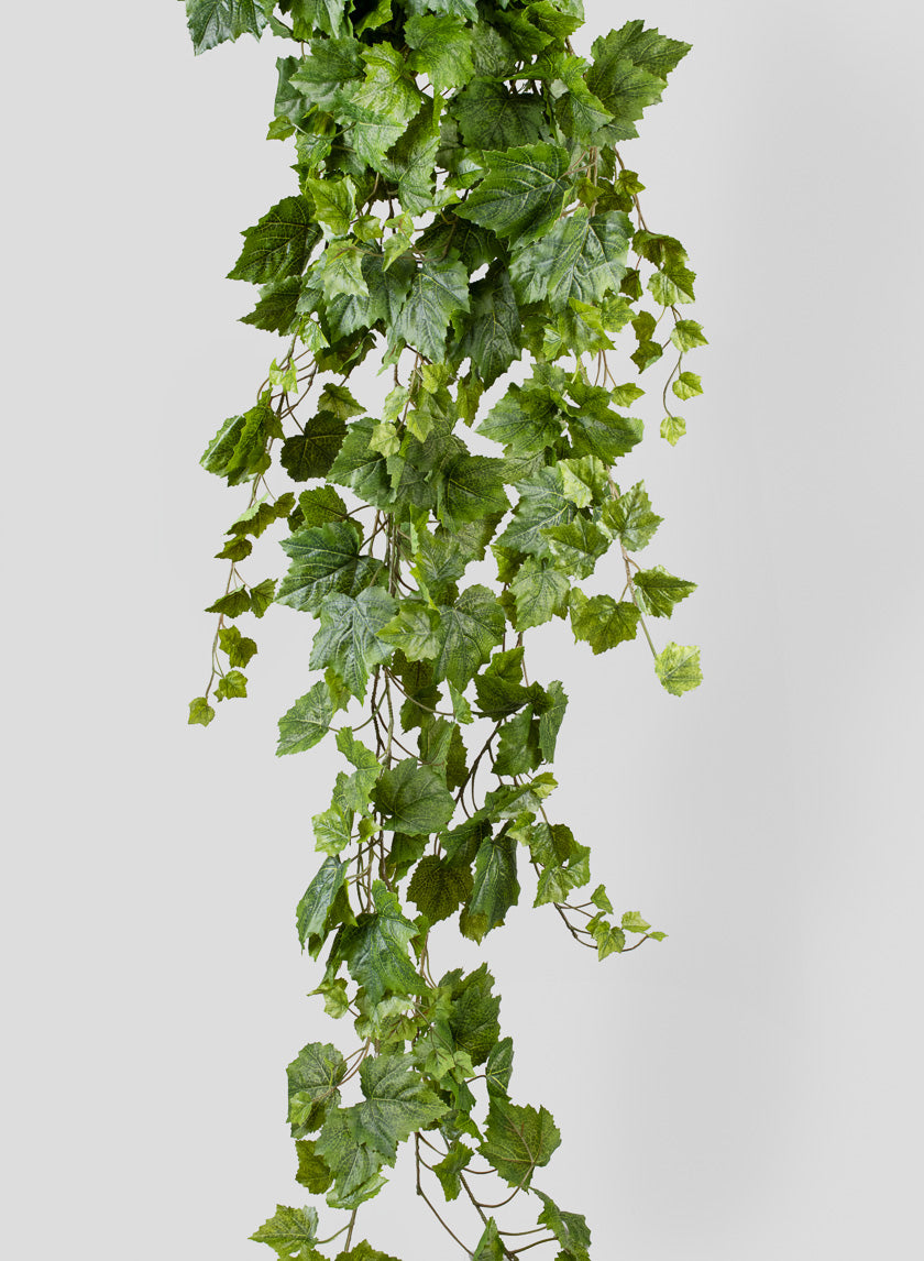 5ft Grape Ivy Hanger