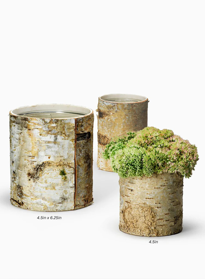 Round White Birch Vases