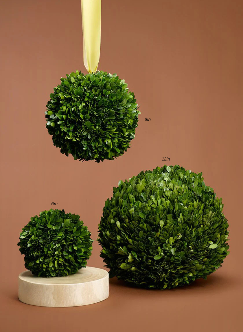 Boxwood Balls