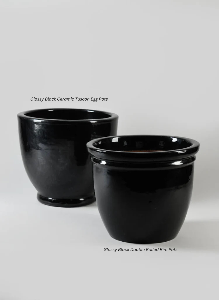 Glossy Black Double Rolled Rim Pots