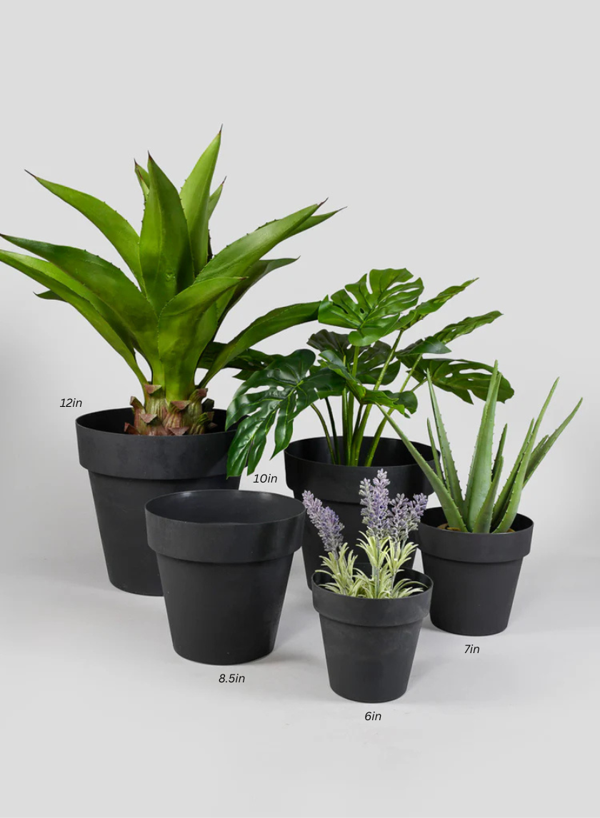 Black Standard Plastic Pots