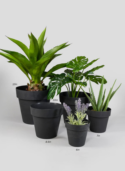 Black Standard Plastic Pots