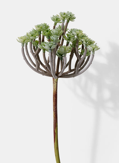 Flocked Succulent Mini Tree Spray