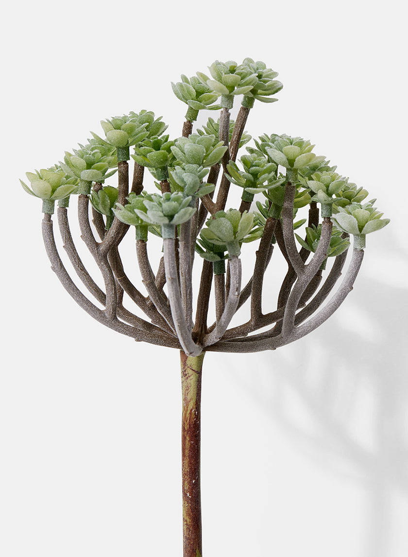 Flocked Succulent Mini Tree Spray