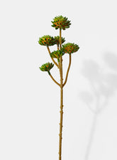 Dark Green Succulent Mini Tree Spray