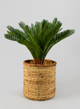 Da Nang Water Hyacinth Basket Pot, Small