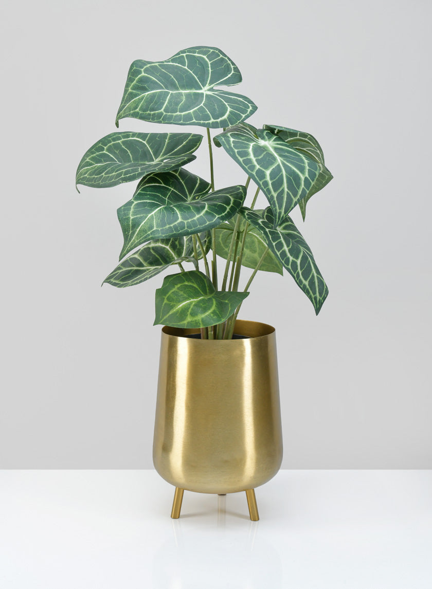 Arash Gold Iron Mini Planter with Legs