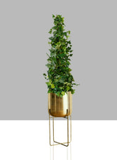 12 Â¾in, 23in, & 26in High Gold Soho Planter With Stand