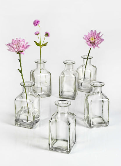 Clear Glass Square Bottle Bud Vase