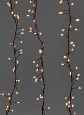 240 Warm White Fairy Lights On Brown Cord, 9 1/2 Ft Long Cord