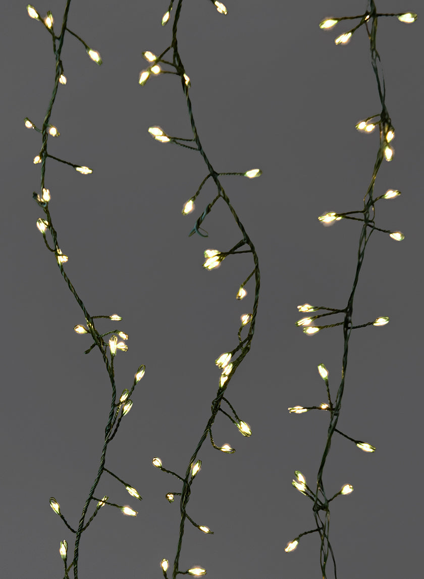 240 Warm White Fairy Lights On Green Cord, 9 1/2 Ft Long Cord