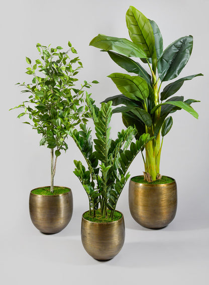 Chatai Cache Pot Planter