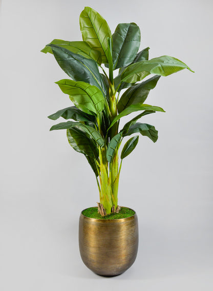 Chatai Cache Pot Planter