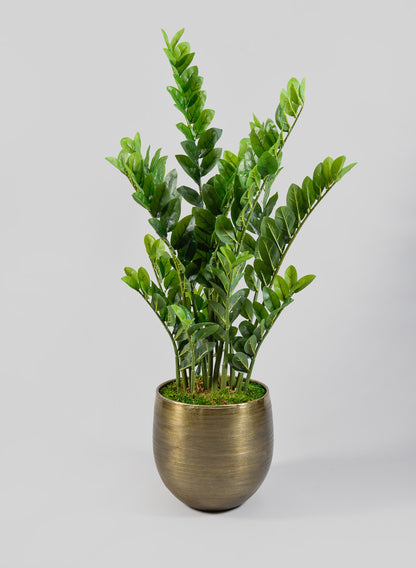 Chatai Cache Pot Planter