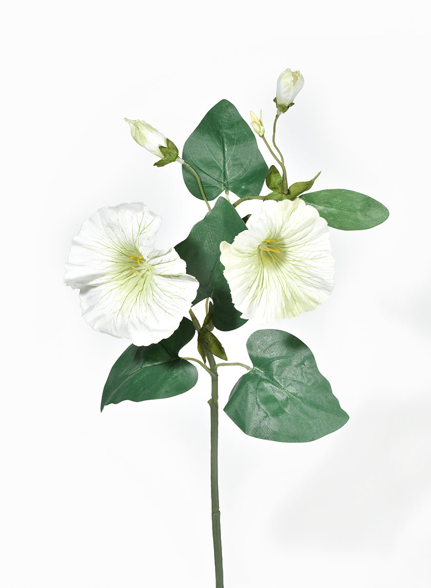 16in white &amp; Green Morning Glory Spray