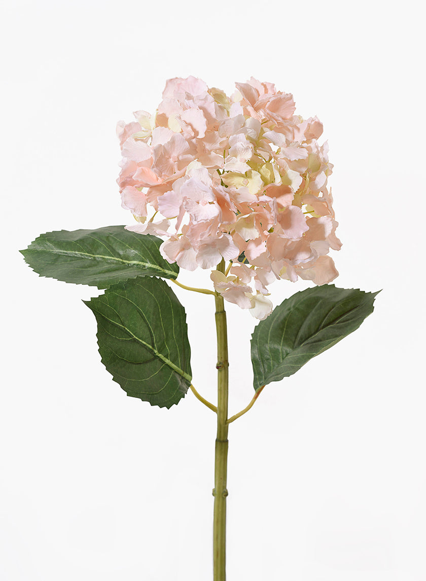 31in Light Pink Hydrangea