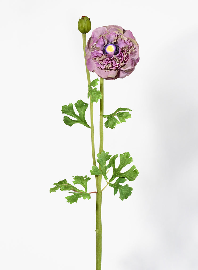 27in Purple &amp; Green Ranunculus