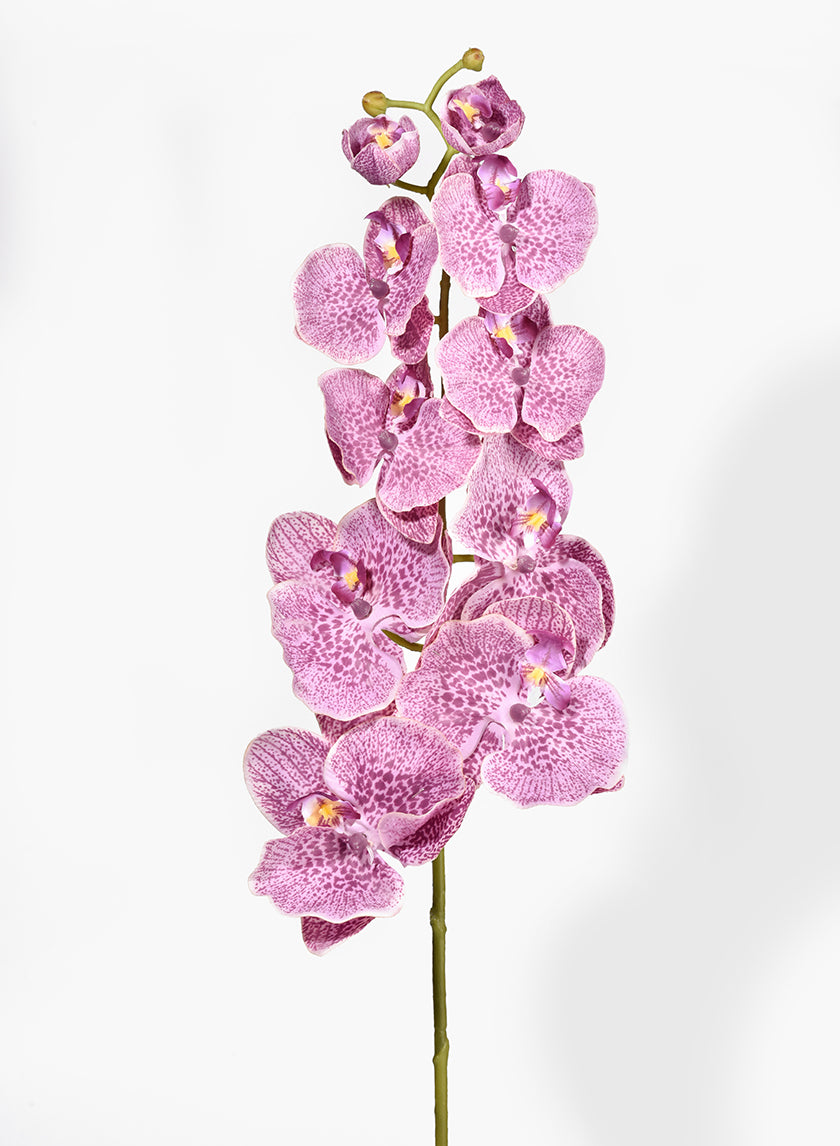 31in Purple Phalaenopsis Orchid