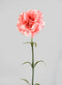 24in Pink Carnation