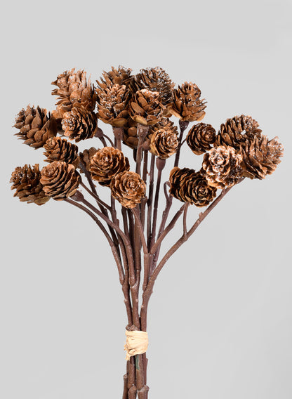 Mini Pinecone Bunch