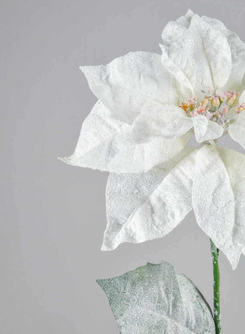 26in Glitter Frost Poinsettia Spray