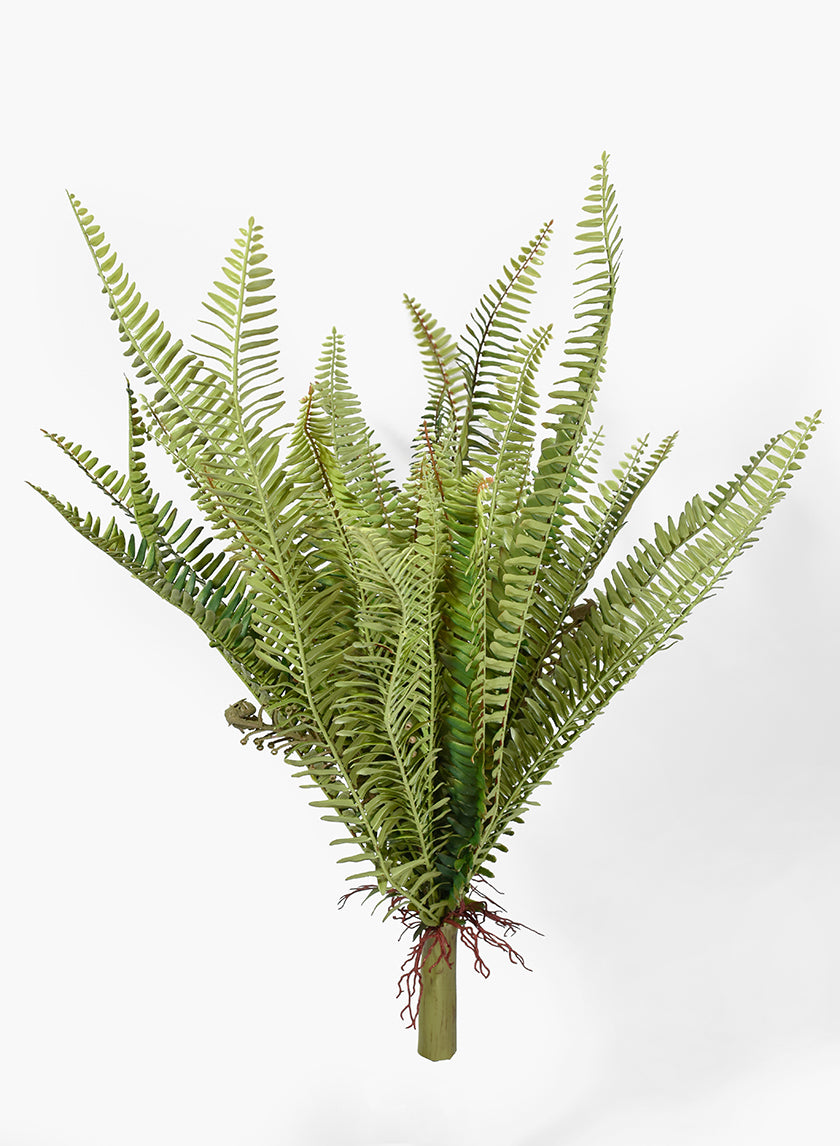 25in Leather Fern Bush