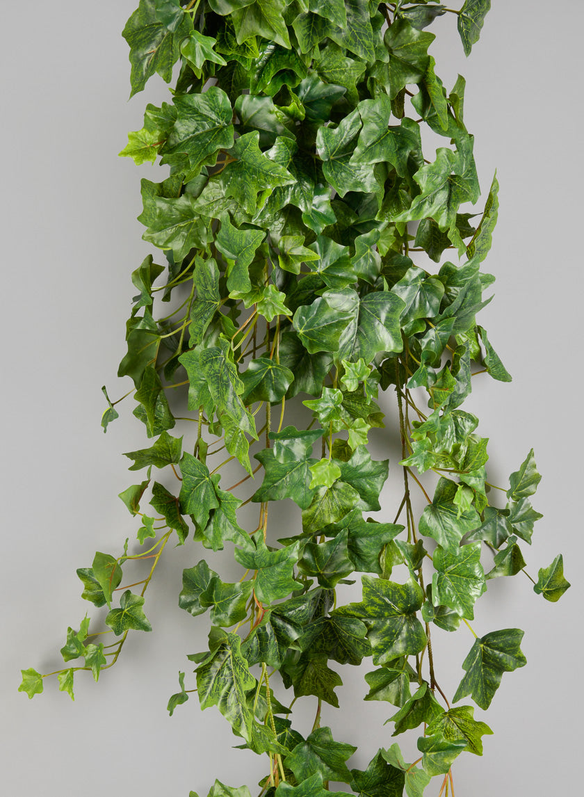 6ft Ivy Hanger