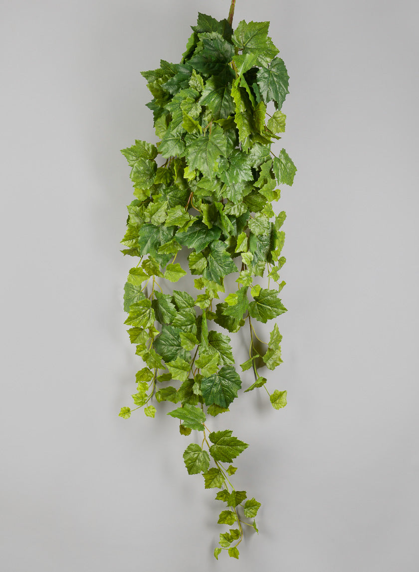 50 in Grape Ivy Hanger