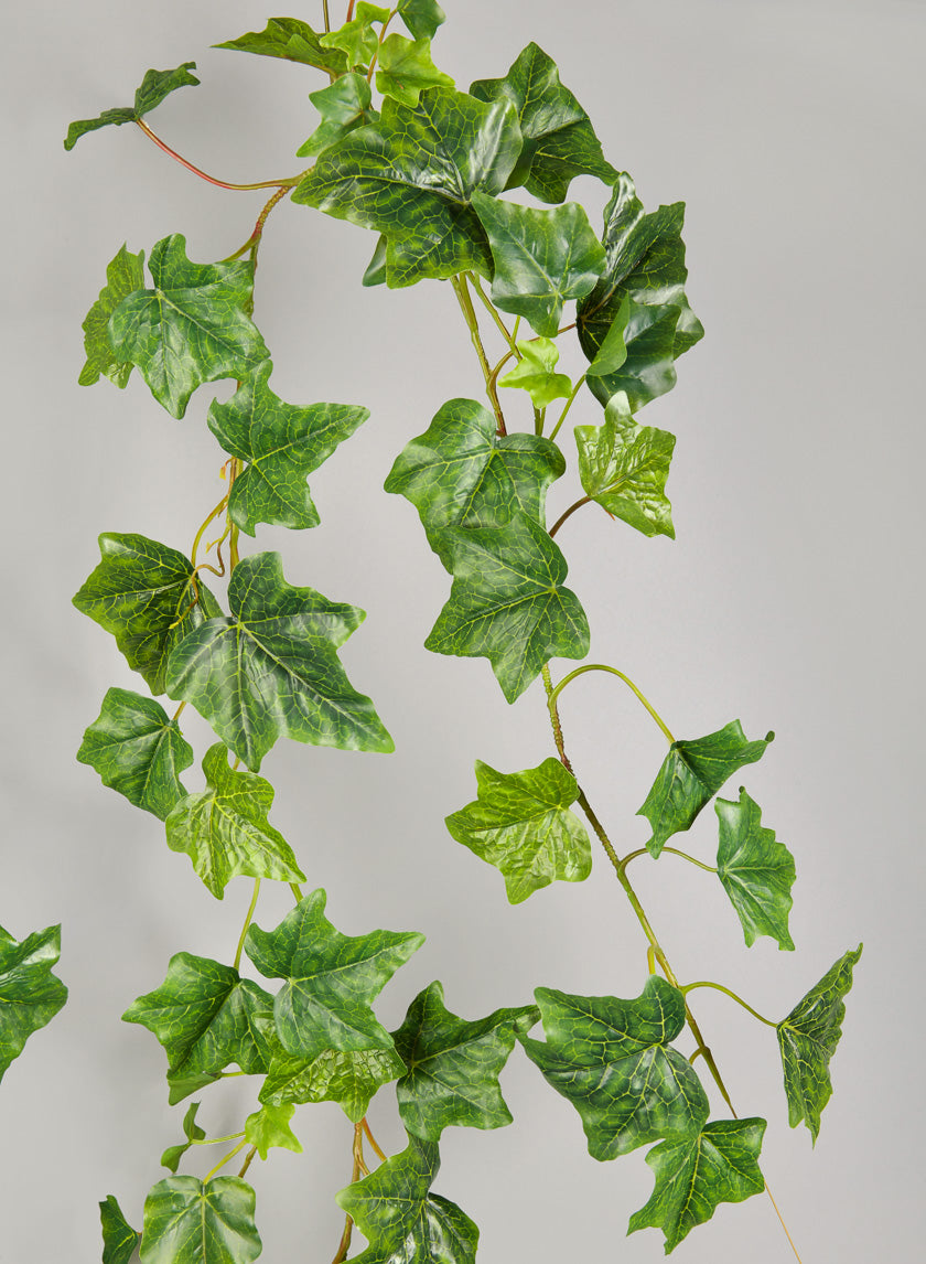 6ft Ivy Garland