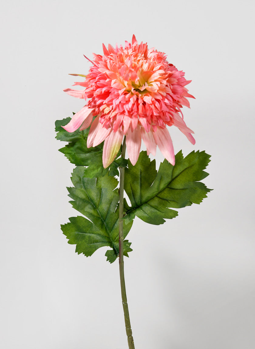 29 1/2in Peach Chrysanthemum Spray