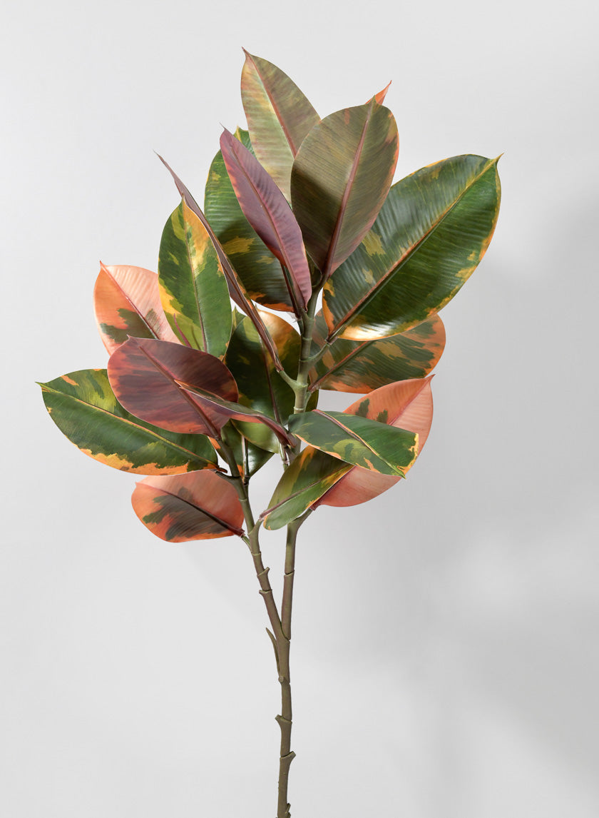 38 1/2in Ficus Elastica Leave Spray