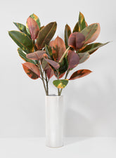 38 1/2in Ficus Elastica Leave Spray