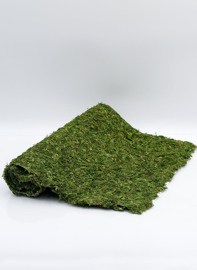 48 x 18in Moss Mat